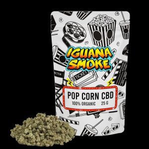 CBD Iguana Smoke Pop Cron